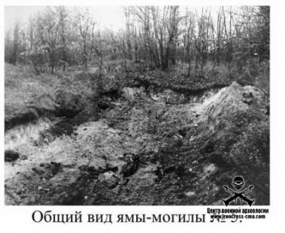 Прикрепленное изображение: Дубки 02.jpeg